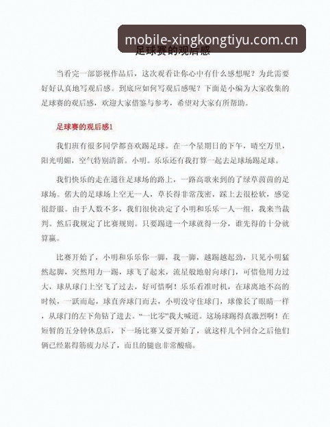 资深球迷分享：从欧联杯决赛看星空体育平台观赛体验心得